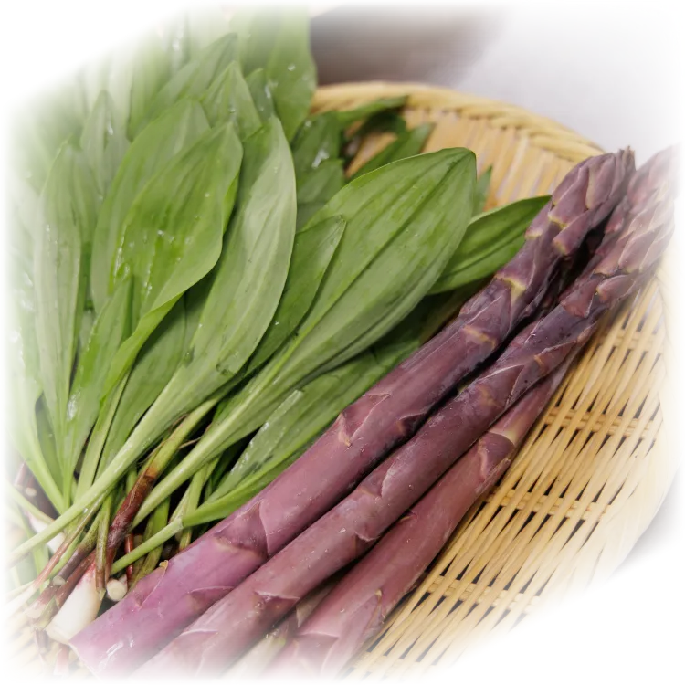 こだわりの食材