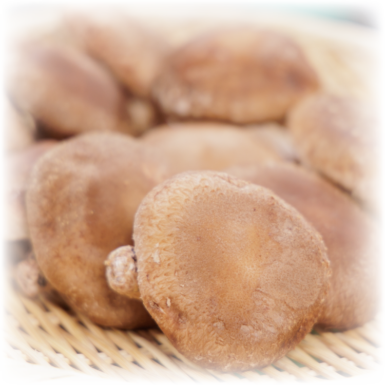 こだわりの食材