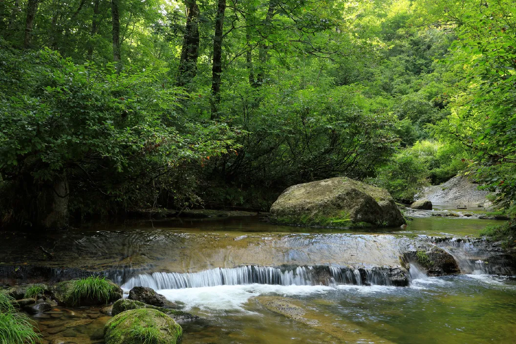 恵みの森(布沢)